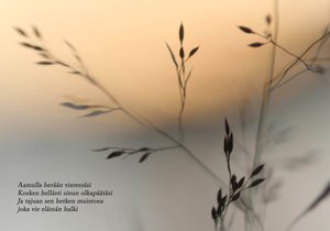 Gallery – Mats J Arlander