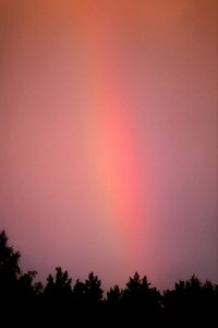 Gallery – Mats J Arlander